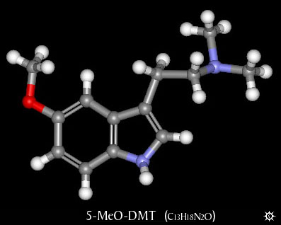 5-Meo-DMT​.jpg