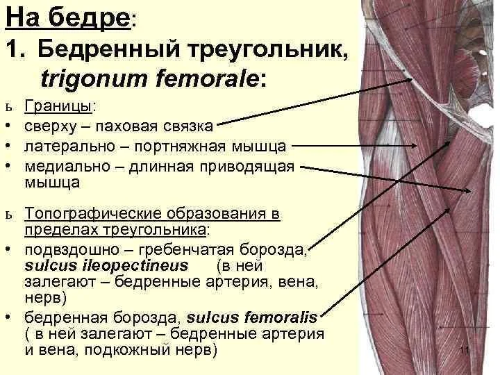 _ _.webp
