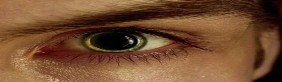 _ Hydra  hydraclubb  _ _ _ _ _.webp