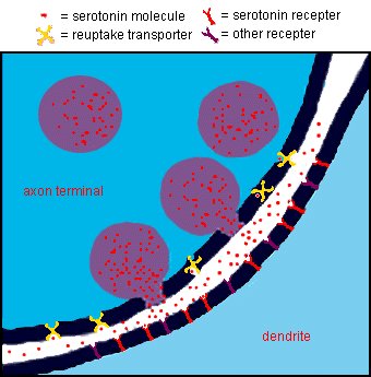 _ Hydra  hydraclubb  _ _ _ MDMA.jpg