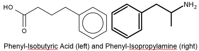 amph1.webp