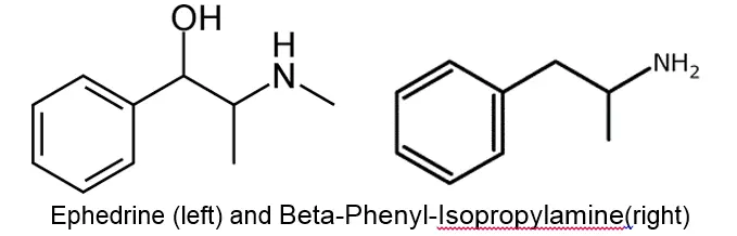amph2.webp