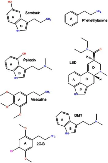 classic psychedelics.jpg