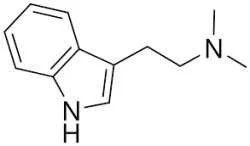 DMT N_N-dimethyltryptamine.webp