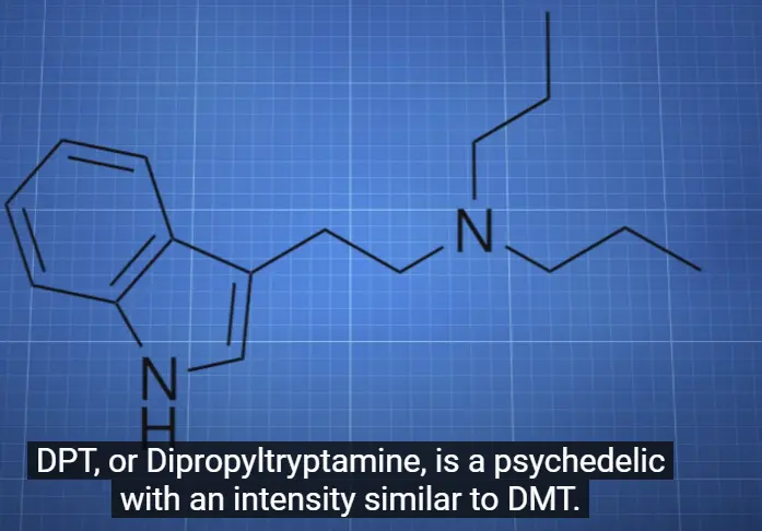 Dpt - N,N-dipropyltryptamine.webp
