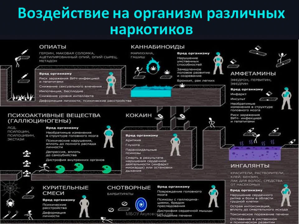 Essay Advocacy for harm reduction drug use by anonymous authors.webp