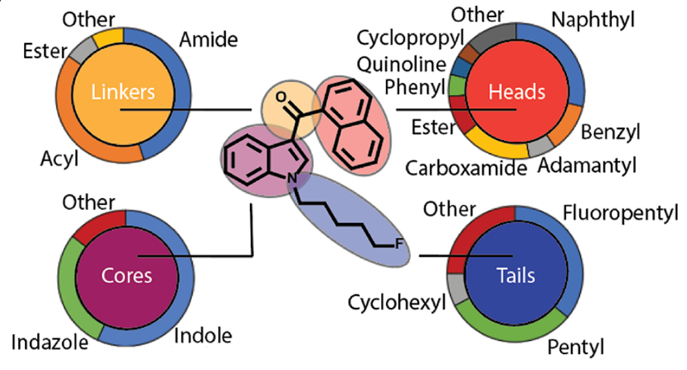 general structures of the BSC.png