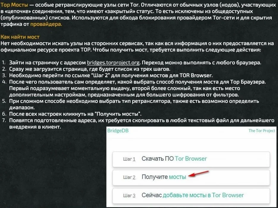 Hydra _ TOR _ _ _.webp