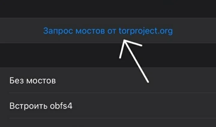 Hydra _ TOR _ _.webp