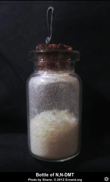 Hydra DMT.webp