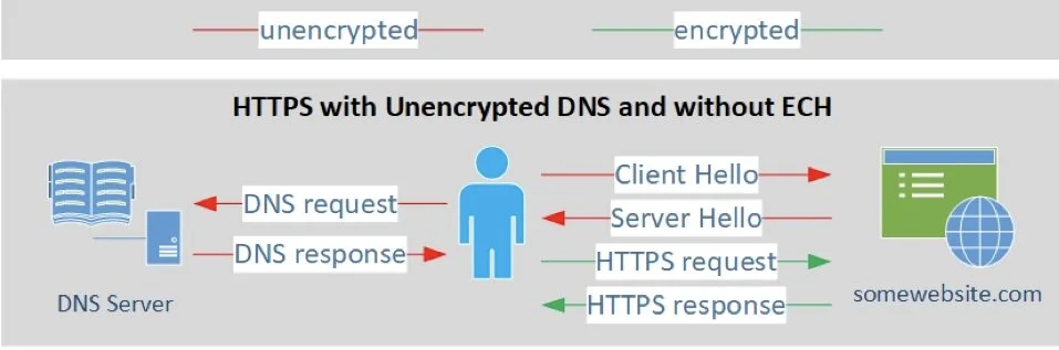 Hydra  DNS _ TLS-HTTPS.jpg