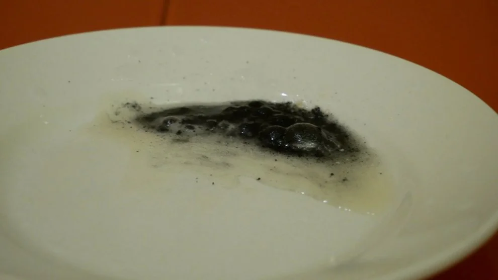 Hydra drop of concentrated sulfuric acid b.jpg