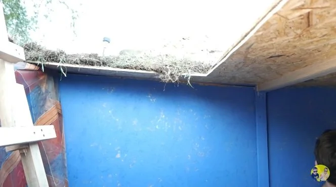 Hydra excavation bunker.jpg