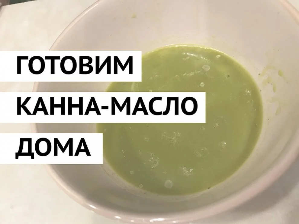 Hydra  hydraclubb  _ _-_ _.webp