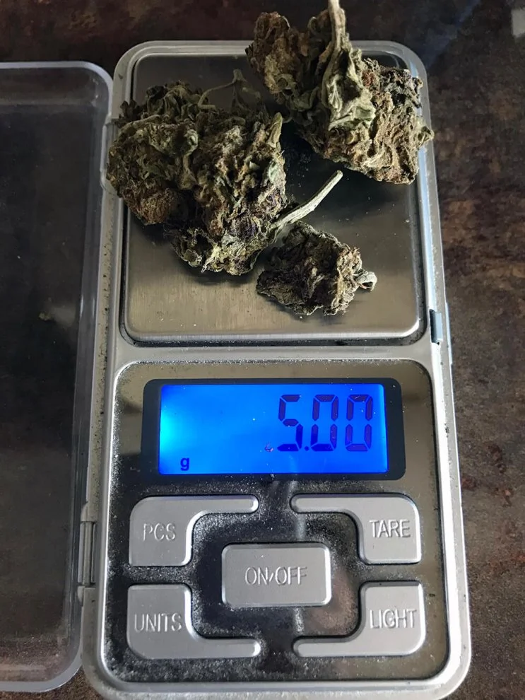 Hydra  hydraclubb  _ _ _ Blueberry.webp