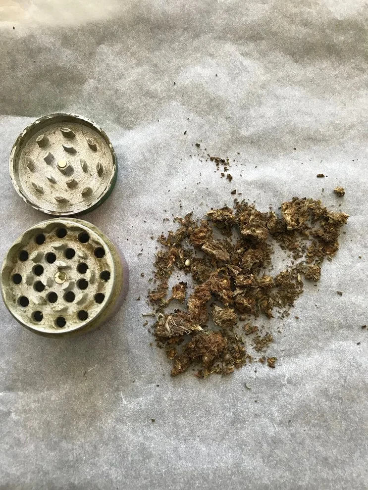 Hydra  hydraclubb  _ _ _ Blueberry.webp