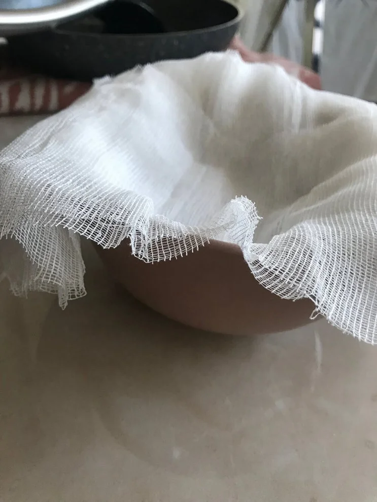 Hydra  hydraclubb  _ _ _.webp