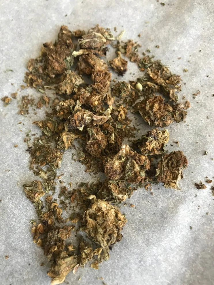 Hydra  hydraclubb  _ _ Blueberry.webp