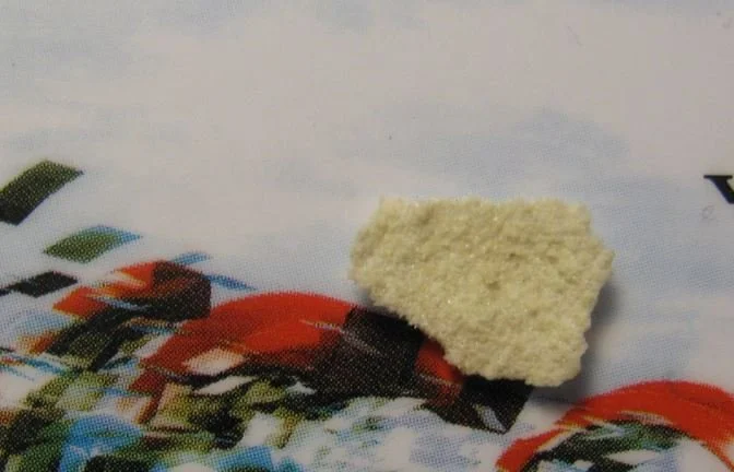Hydra Output with 50 grams of dry mushrooms.webp