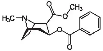 Кокаин Cocaine.webp