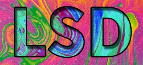 LSD FAQ.webp