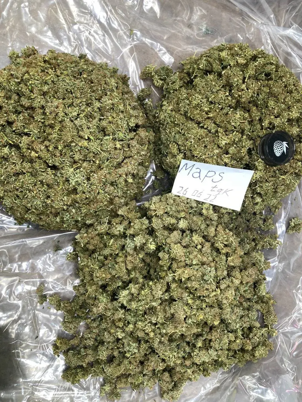 MapsTGK WHOLESALE MapsTGK Hydroponics_2022-06-26_14-07-26.webp