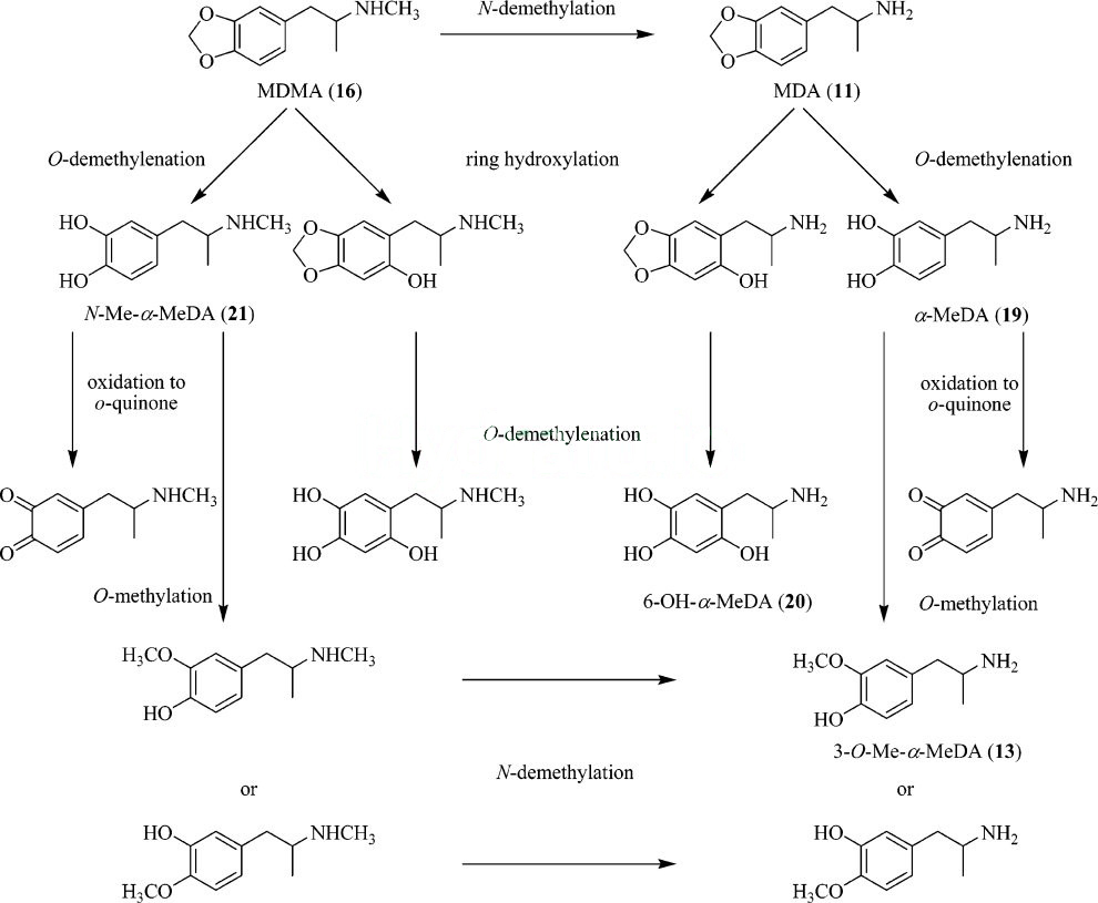 MDMA formula.jpg