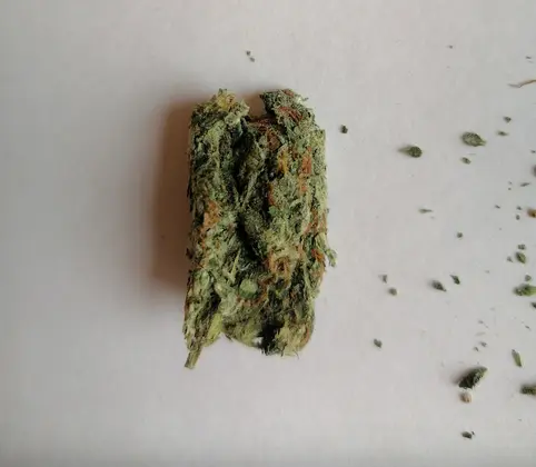 MEGA Ekaterinburg cones White Widow Boshka 1 pc.png