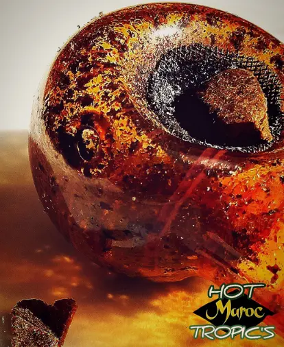 Санкт-Петербург Трип репорт на iceolator Marocco от Hot-Tropics