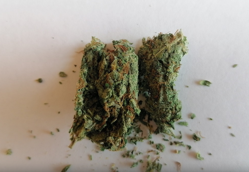 MEGA Yekaterinburg buds White Widow Big bosoms.png