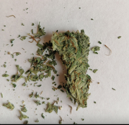 MEGA Yekaterinburg cones White Widow half head.png