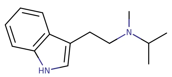 MiPT синтез​.webp