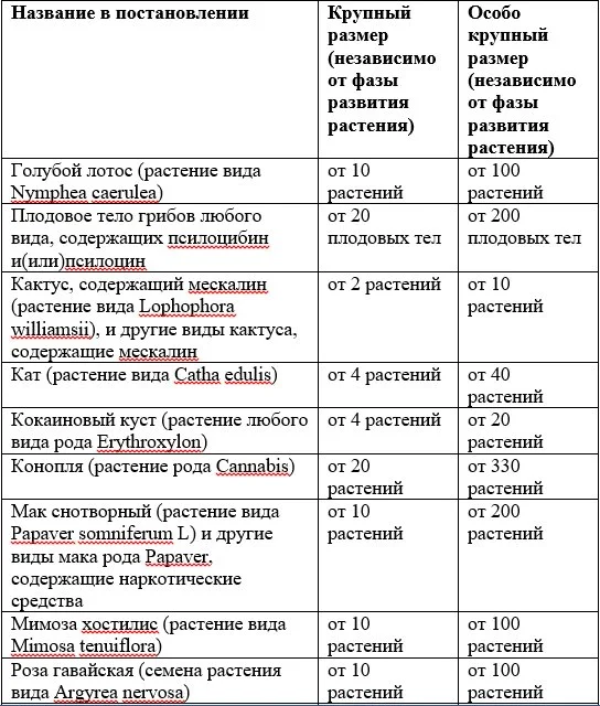 Растения. Размеры. Для статьи 231 УК РФ .webp