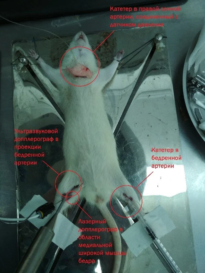 Рисунок 4. Расположение датчиков на исследуемом объекте.jpg