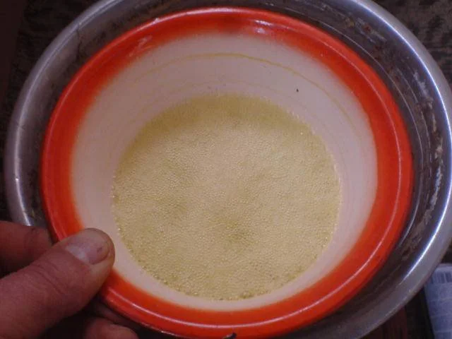 Speed up the hydra process by putting a bowl of extract in a bowl of warm water.webp