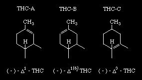 Synthesis of THC - Tetrahydrocannabinol - Preferred isomer numbering.webp