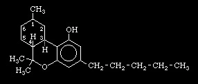 Synthesis of THC - Tetrahydrocannabinol.webp