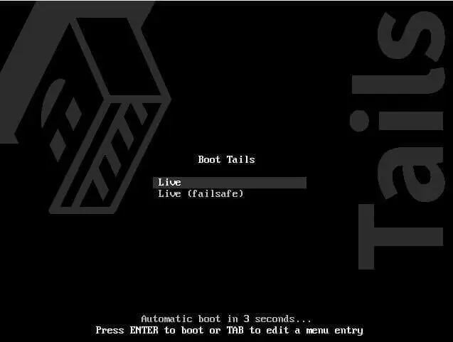 TAILS 1.webp