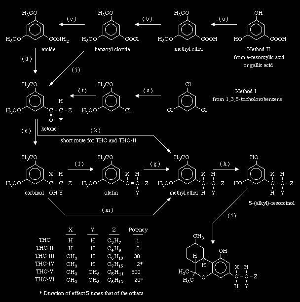 THC Synthesis - Overview.webp