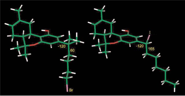 The number in parentheses represents the number of conformational isomers of a given analog ha...jpg