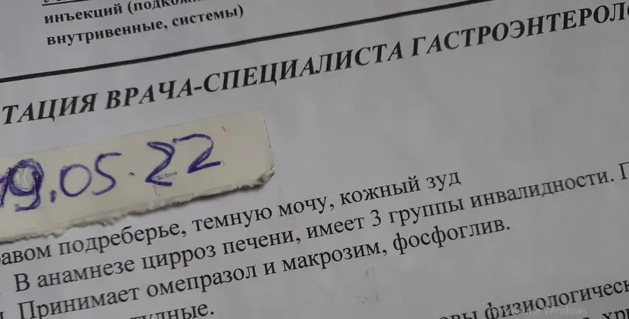 гепатит в.webp