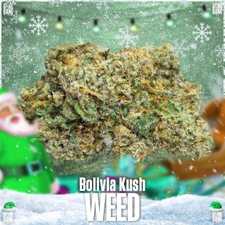 GangBang shop ☘Шишки Bolivia Kush☘.jpg