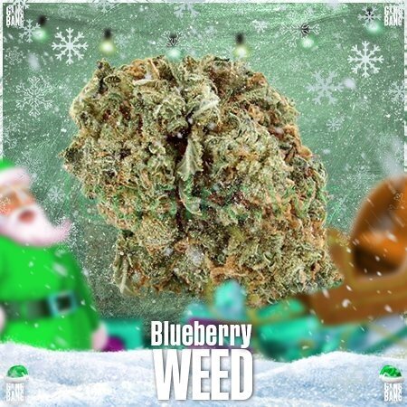 GangBang shop ☘Шишки Blueberry Cheese☘.jpg