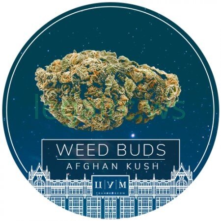 TSUM Moscow ★ Шишки Afghan Kush.jpg