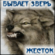 martynenkonolik