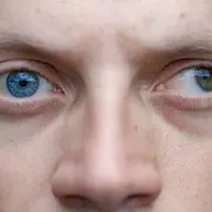 tehb