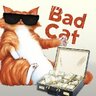 BAD CAT SHOP