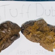 Hawaii Tropical Buble Hash