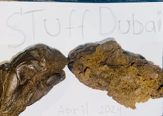 Dubai Hawaii Tropical Buble Hash